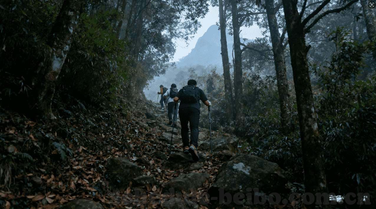 mk体育在线登录入口-mk体育——无缝衔接的在线登录之旅